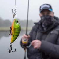 Salmo Rattlin Hornet Floating